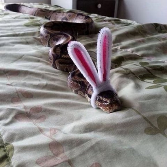 Welcome to my closet! - Picture 8 of 8